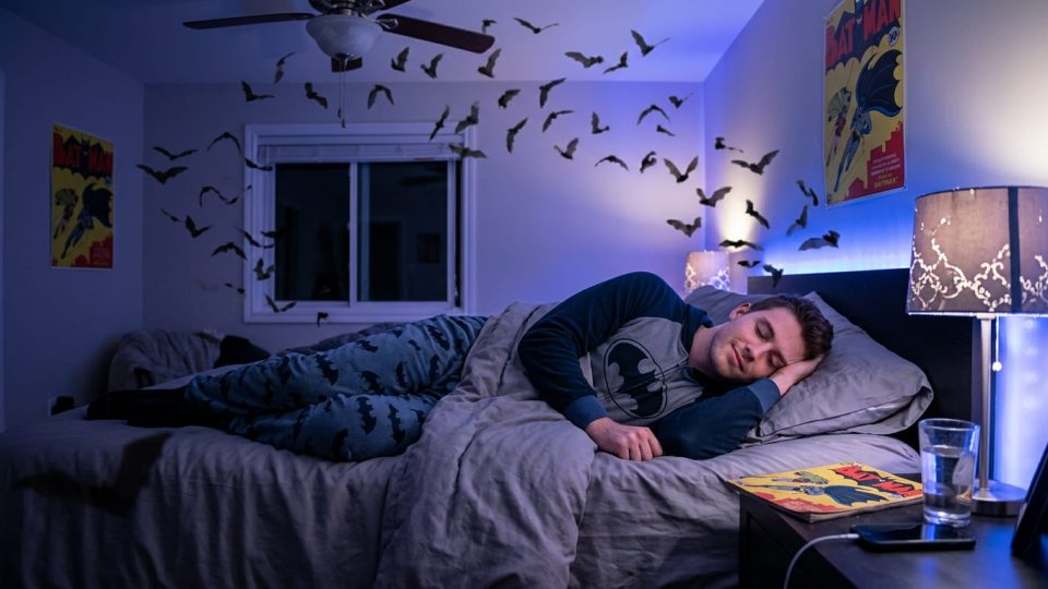 Rüyada Yarasa Görmek Ne Anlama Gelir